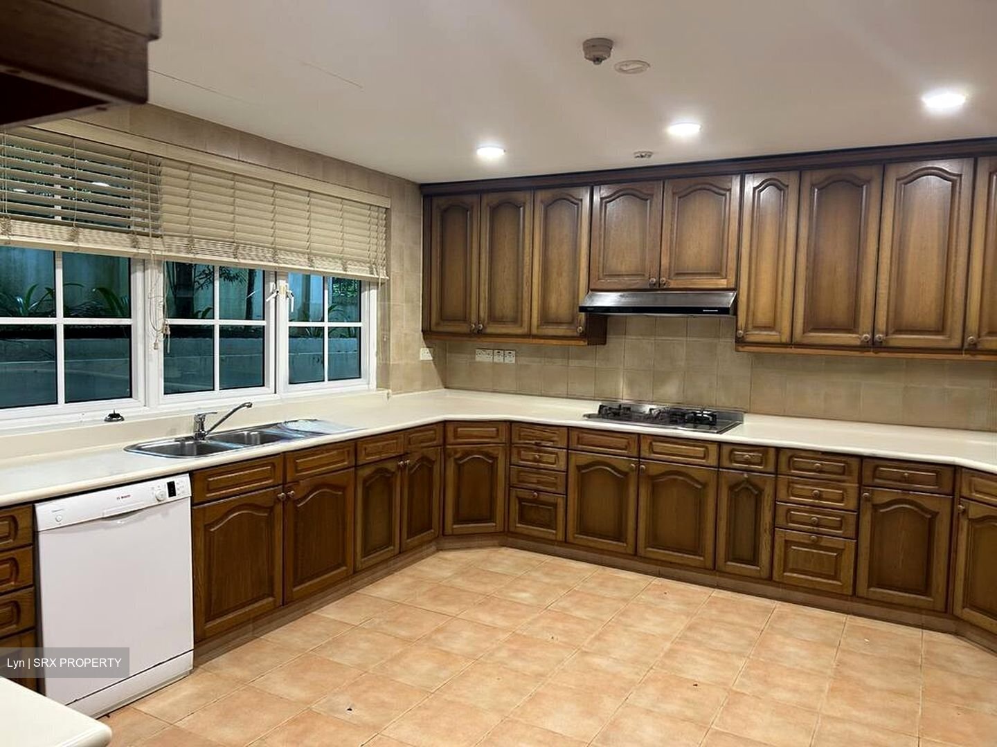 Leedon Heights (D10), Detached #469338501